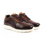 Sneakers // Brown (US: 10)