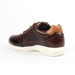 Sneakers // Brown (US: 10)