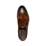 Fleetwood Wingtip Derby // Dark Brown (10)