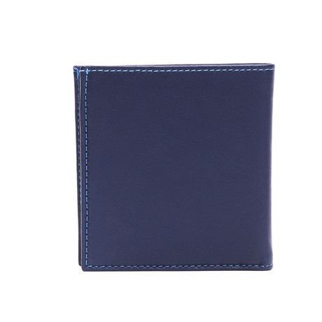 Horizonal Wallet // Bluette