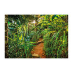 Jungle Trail Wall Mural