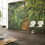 Jungle Trail Wall Mural