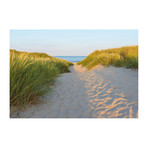 Sandy Path Wall Mural