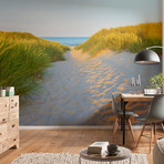 Sandy Path Wall Mural