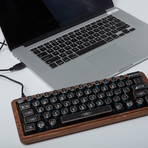 Typewriter Keyboard (Clicky Key Style)