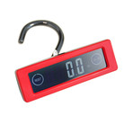 iTouch Scale (White)