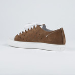 Limited Edition Shoes // Brown (Euro: 42)