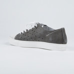 Limited Edition Shoes // Grey (Euro: 43)