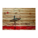 Repub Surfing Painting Print on Natural Pine Wood (18"W x 12"H x 1.5"D)