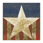 American Eagle Star Painting Print // Wrapped Canvas (18"W x 18"H x 1.5"D)