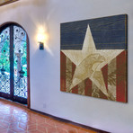 American Eagle Star Painting Print // Wrapped Canvas (18"W x 18"H x 1.5"D)