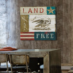 Land of the Free Painting Print // Wrapped Canvas (18"W x 18"H x 1.5"D)