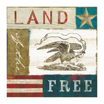 Land of the Free Painting Print // Wrapped Canvas (18"W x 18"H x 1.5"D)