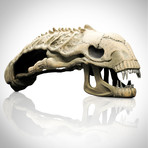 Aliens Skull Replica // Life Size