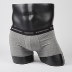 Stipe Logo Boxer Brief // Navy + Grey // Pack of 2 (M)
