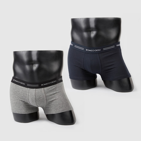 Stipe Logo Boxer Brief // Navy + Grey // Pack of 2 (S)