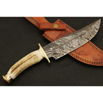 Damascus Stag bowie//1229