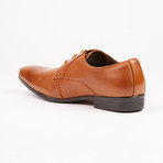 Aaron Derby // Tan (US: 10)