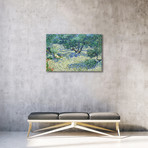 Olive Orchard // Vincent van Gogh // 1889 (18"W x 26"H x 0.75"D)