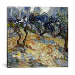 Olive Trees // Vincent van Gogh // 1889 (18"W x 18"H x 0.75"D)