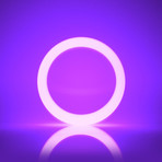 Super Lume // Purple (Size 9.5)