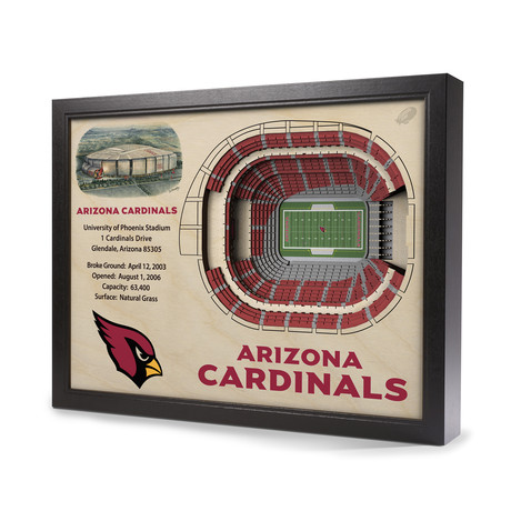 Arizona Cardinals // University of Phoenix Stadium