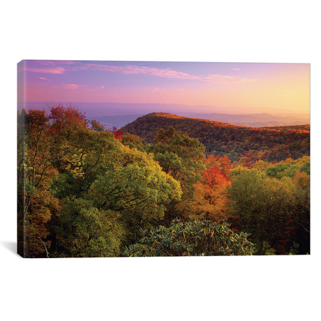 Blue Ridge Mountains With Deciduous Forests In Autumn