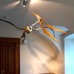 86 Million Year Old Pteranodon Skeleton