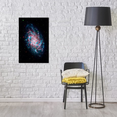 Young Galaxy M33 (NASA) (18"W x 26"H x 0.75"D)