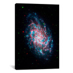 Young Galaxy M33 (NASA) (18"W x 26"H x 0.75"D)