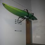 Kayak