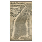 The City of New York Map, 1879 (7.75"W x 13.75"H)