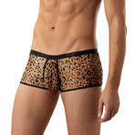 Purry Enhancer Short // Black + Tan (S)