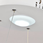 Modern Nature Pendant Light + Remote Control