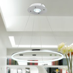 Modern Nature Pendant Light + Remote Control