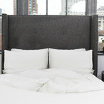 ECOSHEEX Down Alternative Comforter (Full/Queen)