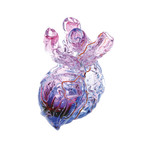 Anatomical Heart Vase