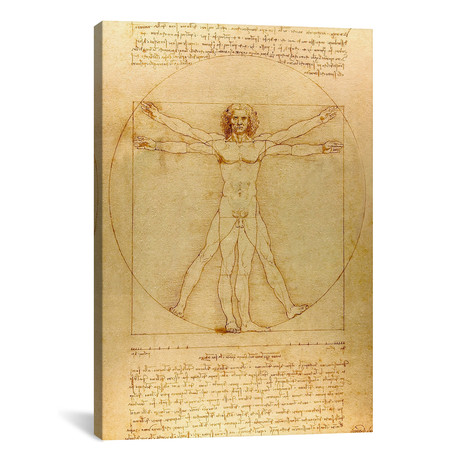 Vitruvian Man, 1490 // Leonardo da Vinci (18"W x 26"H x 0.75"D)