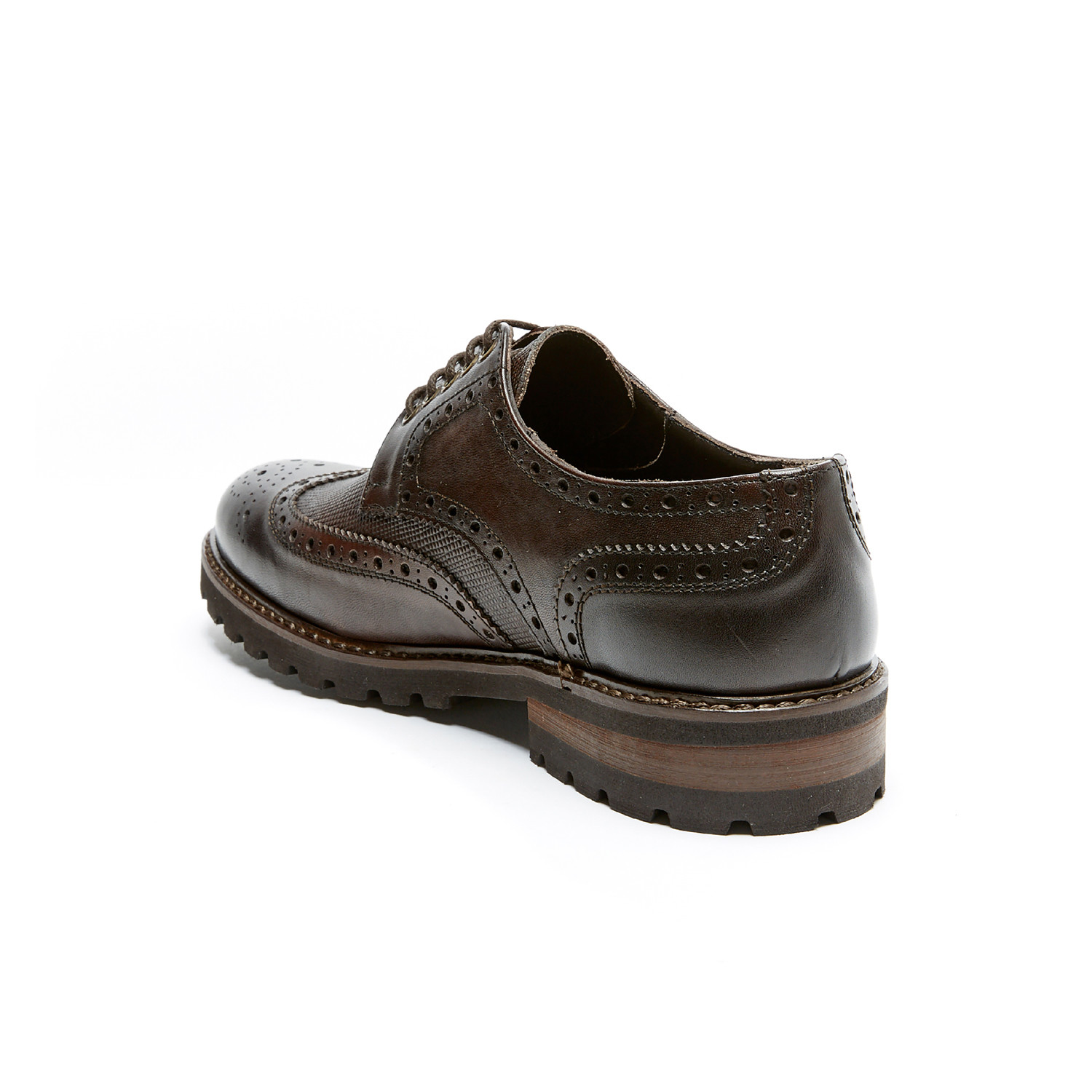 dark brown wingtip