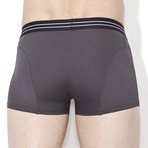 Striped Band Trunk // Grey (S)
