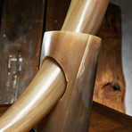 Polished Long Buffalo Drinking Horn + Stand