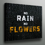 No Rain No Flowers (12"L x 18"W)