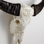Carved Buffalo Skull // 2 Dragons