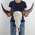 Carved Buffalo Skull // 2 Dragons