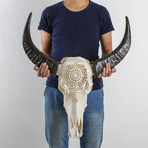 Carved Buffalo Skull // Aztec Affair
