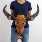 Carved Buffalo Skull // Carved Horns // Antique Finish Skeletons 