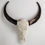 Carved Buffalo Skull // Dead Whisperers