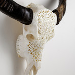 Carved Buffalo Skull // Dead Whisperers