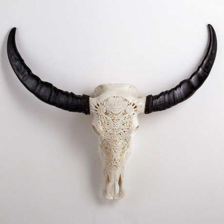 Carved Buffalo Skull // Demon