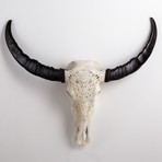 Carved Buffalo Skull // Demon